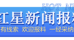 营商环境如何进一步优化？全国人大代表、企业家们提到了这些“关键词”